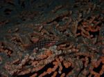 PB120620.jpg