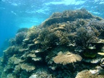 dscf5023 (2).jpg