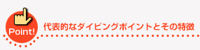 代表的なダイビングポイントとその特徴